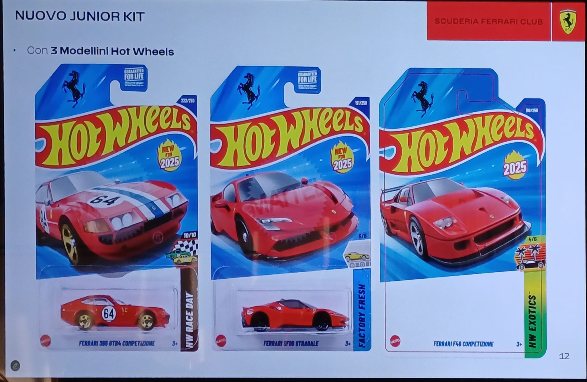 SFC Cork - Ireland Junior Membership 2026 - Image 3